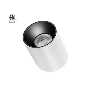 Outdoor AC 85-265V 20W 30W 40W Surface Mounted Waterproof IP65 COB Ceiling Downlight for Hotel Project