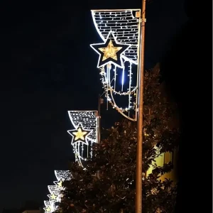 Outdoor Christmas Decorative 2D LED Light IP65 Decor Festival Exterior Waterproof Decorations Led Pole Motif Street Lights