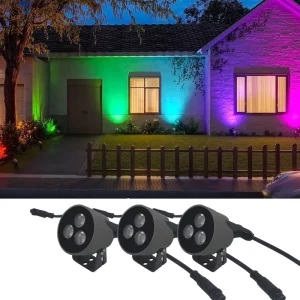 Outdoor Christmas Street Light Decoration 3w 6w 12v 24v IP66 Waterproof Outdoor LED Wall Spotlight