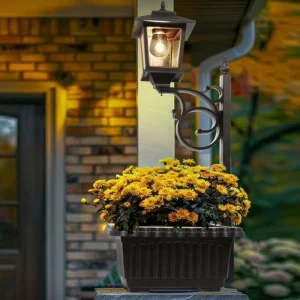 Outdoor Decorative Lights for Gardens and Courtyards