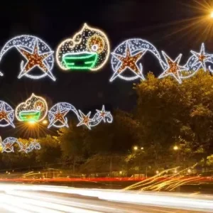 Outdoor Garden 3D LED Motif Lights IP65 Rated Holiday and Street Decoration CE RoHS Approved