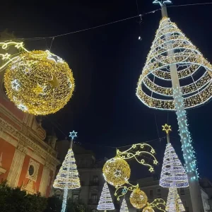 Outdoor Holiday Waterproof IP65 Commercial Grade Giant LED Street Mall Garden Plaza Decorative Moon Christmas 3D Motif Lights