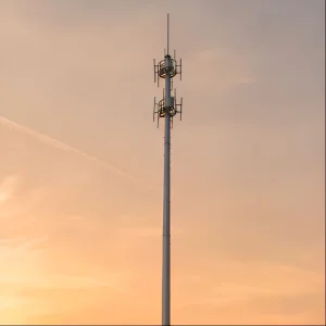 Outdoor Hot-Dip Galvanized Steel Monopole Lightning Protection Tower Single-Pipe Lightning Rod Mast for Industrial Plant