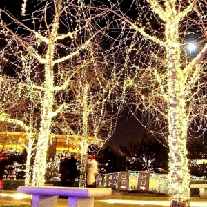 Outdoor IP54 Waterproof Solar Star Lights LED Flashing String Lights 10m Soft Warm White CRI80 50000 Hours Dimmable Christmas