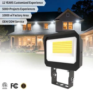 Outdoor IP65 Aluminum Stadium Lights LED SMD Chip 35W 150W Landscape Flood Light for Events Stage Lighting 4000K 5000K 5 Year