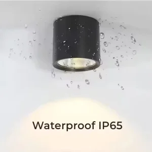 Outdoor IP65 LED Spotlight Ceiling Downlight, 7W or 12W COB, Black Aluminum Housing, for Balcony and Corridor