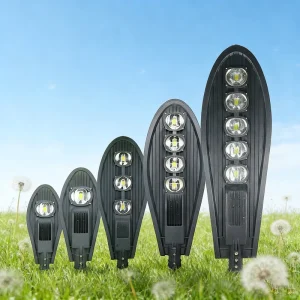 Outdoor IP66 30W 50W 100W 150W 200W 250W LED Street Light