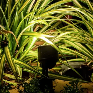 Outdoor Landscape LED Spike Light 12VAC 50/60 Hz IP66 Die-cast Aluminum Waterproof Clear Glass Lawn Lights