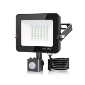 Outdoor Smart Sensor Security Light 30W for Residential Garden Park Doorway