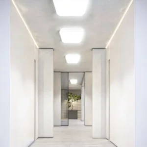 Outdoor Solar 50W 60W 100W 200W 300W 360W LED Ceiling Lamp with Induction for Indoor Gardens
