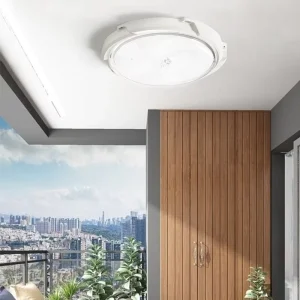 Outdoor Surface-Mount Emergency Solar LED Ceiling Light