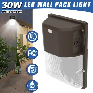 Outdoor Wall Lamps Waterproof 30W 5000K for Beach Villa Resort Modern Coastal Yard Mini Wall Light