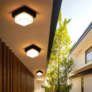 Outdoor Waterproof Ceiling Light for Patio Entrance Corridor Courtyard Balcony Wall