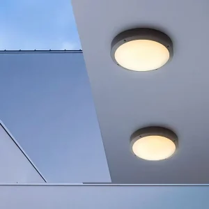Outdoor Waterproof Insect-Proof Acrylic Ceiling Wall Lamp