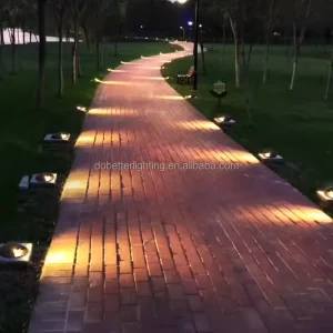 Outdoor Waterproof LED Pathway Fence and Buried Ground Light for Lawn and Garden