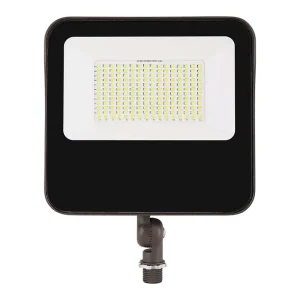 Outdoor Waterproof Remote Control LED Flood Light 15w 27w 40w 60w