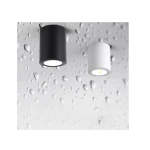 Outdoor Waterproof Round LED Ceiling Lamp IP65 Surface-Mounted Downlight 6000K Daylight AC 85-265V