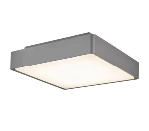 P2201 CE RoHS IP65 AC PC LED Surface Mounted Ceiling Light for Indoor Outdoor Bedroom