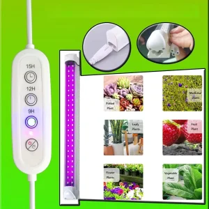 Plant lamp timing switch power cord European standard US standard T5T8 daylight tube light strip three hole timing power cord