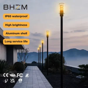 Professional High Pole LED Street Lights Black Grey Brown Waterproof IP65 Rating Aluminum Body 30W Outdoor Garden Lights