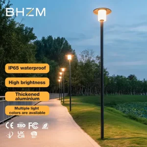 Professional High Pole Single Head Outdoor Garden Lights IP65 Waterproof SMD Source Aluminum Material 30W LED Street Lights