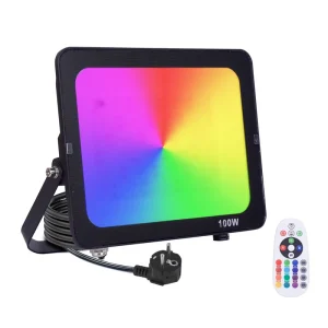 RGB LED Floodlight 50W 100W Color Changing Remote Control IP66 Waterproof Aluminum Flood Lights