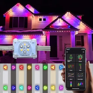 Rgbw 48V Jellyfish Pixel Point Light UCS2904 Outdoor Waterproof Rgbic Permanent Christmas Holiday Lighting