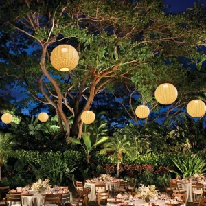 Round Outdoor Waterproof Courtyard Chandelier Chinese-style Gatehouse Light Rattan Moon Light