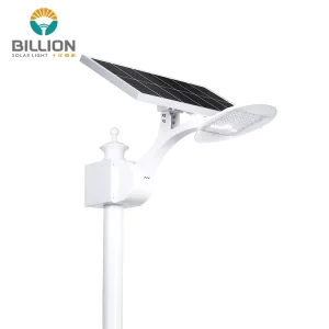 Solar Energy Powered IP65 Solar Street Light for Road Use with Integrated Landscape Swan Lamp