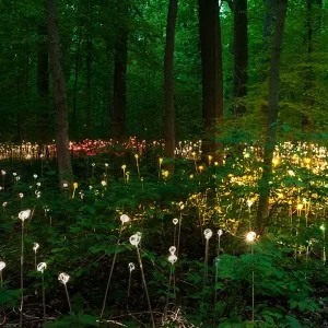 Solar Garden Landscape Light Fiber Optic Spike Ball Transparent Flower Lamp IP68 Outdoor Pathway Decoration