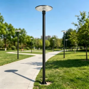 Solar Powered IP65 LED Street Lights with Remote Control Aluminum Construction CE Certified