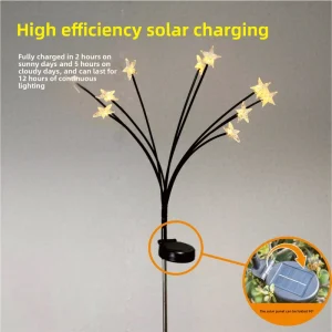 Solar Powered IP65 Rated LED Star Light for Outdoor Garden & Courtyard Firefly Decoration