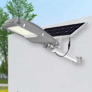 Solar Street Lights for Driveway Path Application with Motion Sensor and Remote Control
