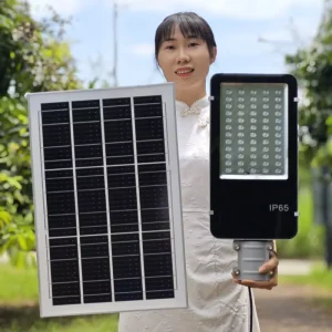 Solar Street Lights with High Poles IP67 Outdoor Waterproof High Power LED Courtyard Villas Farms