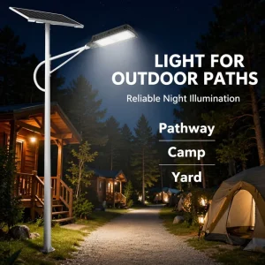 Split Solar Street Light IP65 100W for Engineering Projects High Current Stable Charging