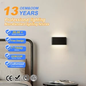 Square IP65 Waterproof LED Wall Light Die Casting Aluminum Outdoor Wall Mounted Tempered Glass Diffuser 6W 10W 2 Year Garden