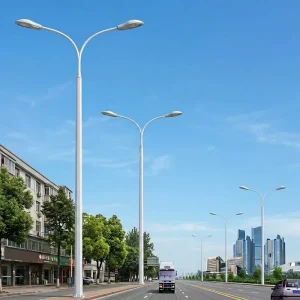 Stainless Steel Highway Lamp Poles 4m to 14m for Garden Square Roadway Lighting Post