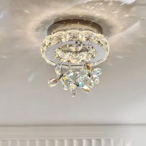Stainless Steel LED Surface-Mounted Ring Ceiling Light for Outdoor Hallway, Balcony, Entryway, Foyer