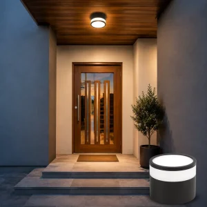 Surface-mounted Outdoor Waterproof LED Downlight Warm White Natural White 2-Year Warranty 90 Beam Angle CRI 80 for Courtyards