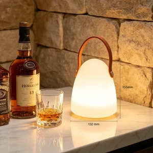 Table Lamp Ambient Camping Lamp Plug-in Outdoor Portable Light