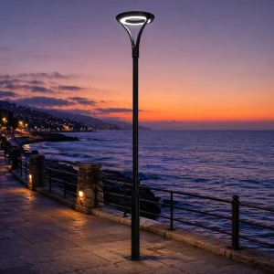 Thickened Aluminum Alloy Lamp Body IP65 Waterproof AC LED Outdoor Street Lights App Remote Control for Gardens Villas Roads