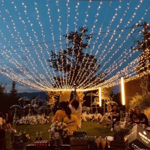 Waterproof 100 LED Solar String Lights 10m IP44 Warm White For Outdoor Garden & Elegant Christmas Parties