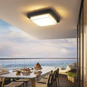 Waterproof Outdoor Ceiling Lamp for Courtyard, Entrance, Living Room, Corridor, Terrace, Eaves, and Balcony