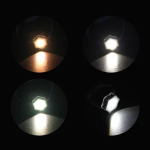 Waterproof Plastic Outdoor House Roof Garden Lighting Dream Color Changeable Smart RGB Eave Light App Control IP68 Rated Holiday