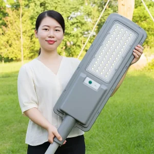Waterproof Solar Street Light for Outdoor Roads